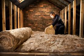 Best Eco-Friendly or Green Insulation Solutions  in Craig Beach, OH